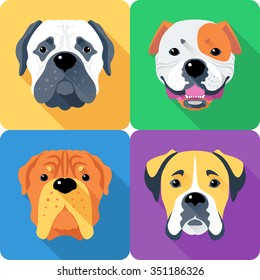 Vector dog Bullmastiff, French Mastiff, Boxer and American Bulldog breed face icon flat design 