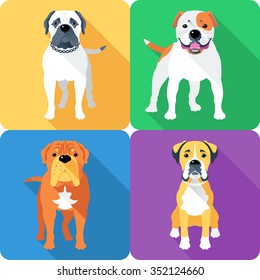 Vector dog Bullmastiff, French Mastiff, Boxer and American Bulldog breed face icon flat design 