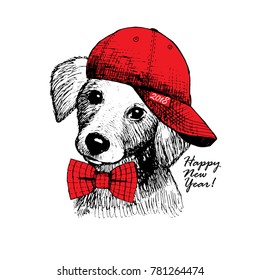 Vector dog with cap and scarf . Hand drawn illustration of dressed dog. Greeting card. Happy New Year. 2