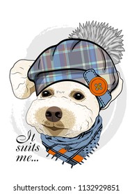 Vector dog with checkered hat and blue scarf. Hand drawn illustration of dressed dog.