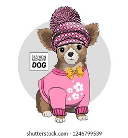 Vector dog with checkered  hat, bow and pink blouse. Hand drawn illustration of dressed terrier.