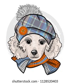 Vector dog with checkered hat and knitted scarf. Hand drawn illustration of dressed dog.