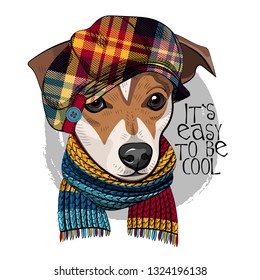 Vector dog with checkered hat and knitted scarf. Hand drawn illustration of dressed Jack Russell terrier. Vector illustration.