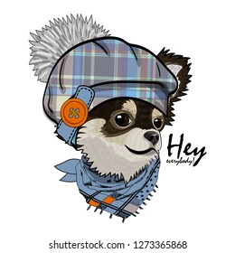 Vector dog with checkered hat and scarf. Hand drawn illustration of dressed chihuahua.