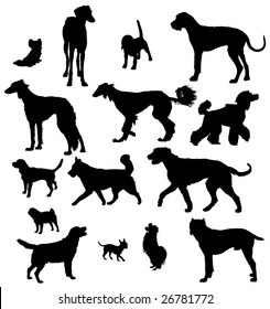 Vector dog collection on a white background