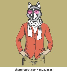 Vector dog concept. Hand draw vector siberian husky dog on human body. Husky in human suit