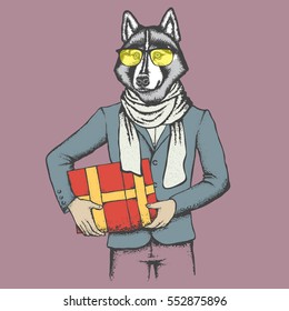 Vector dog concept. Hand draw vector siberian husky dog on human body. Husky in human suit with gift