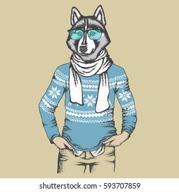 Vector dog concept. Hand draw vector siberian husky dog in human sweatshirt