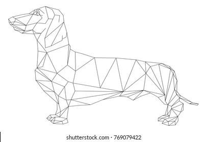 Vector - dog  dachshund animal geometric isolatet on background