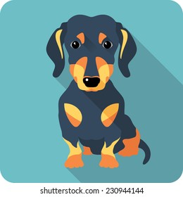 Vector dog dachshund sitting icon flat design 