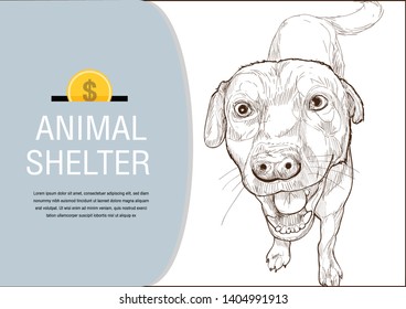 Vector dog design poster. dog banner illustrations. animal charity, donation,
