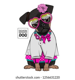 Vector dog with flower, glasses, necklace and grey blouse. Hand drawn illustration of dressed dog.