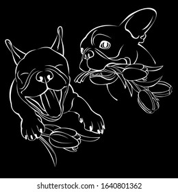 Vector dog French bulldog icon flat design.
French bulldog.