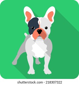 Vector Dog French Bulldog Icon Flat Design 