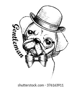 Vector Dog Is A Gentleman. Dog In Bowler Hat With Eyeglasses.
,