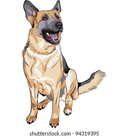 vector dog German shepherd breed sitting and smile