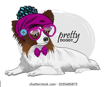 Vector dog with glasses, beret and bow. Hand drawn illustration of dressed papillon.