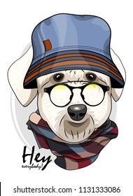 Vector dog with glasses, blue hat and checkered scarf. Hand drawn illustration of dressed dog.