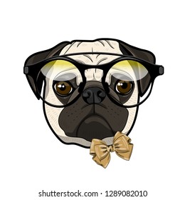 Vector dog with glasses and bow. Hand drawn illustration of dressed pug.