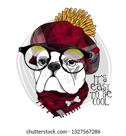 Vector dog with glasses, checkered hat and red scarf. Hand drawn illustration of dressed bulldog. Vector illustration.