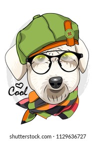 Vector dog with glasses, green hat and checkered scarf. Hand drawn illustration of dressed dog.