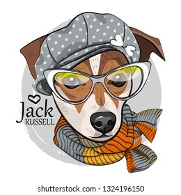 Vector dog with glasses, grey hat and knitted scarf. Hand drawn illustration of dressed Jack Russell terrier. Vector illustration.
