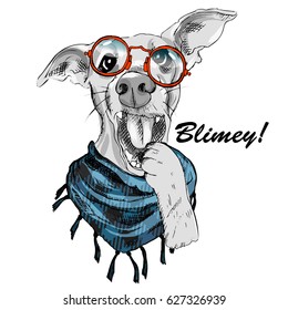 Vector dog with glasses. Hand drawn illustration of dressed dog.
