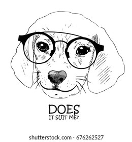 Vector dog with glasses. Hand drawn illustration of dressed beagle.