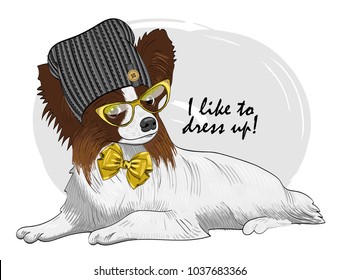 Vector dog with glasses, knitted hat and bow. Hand drawn illustration of dressed papillon.