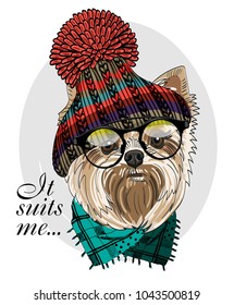 Vector dog with glasses, knitted hat and scarf. Hand drawn illustration of dressed dog.