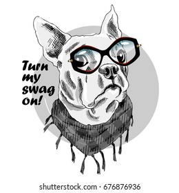 Vector dog with glasses and neckerchief. Hand drawn illustration of dressed dog