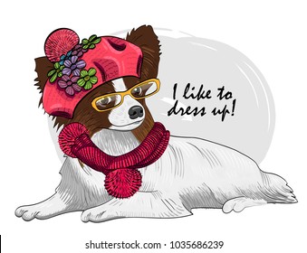 Vector dog with glasses, pink knitted beret and scarf. Hand drawn illustration of dressed papillon.