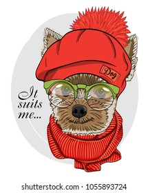 Vector dog with glasses, red knitted hat and scarf. Hand drawn illustration of dressed dog.