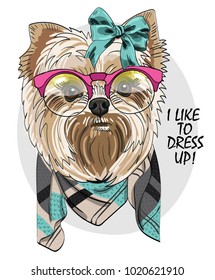 Vector dog with glasses and scarf. Hand drawn illustration of dressed dog.