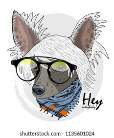 Vector dog with glasses and scarf. Hand drawn illustration of dressed Chinese Crested Dog.