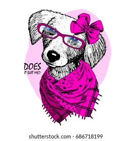Vector dog with glasses, scarf and pink bow. Hand drawn illustration of dressed dog