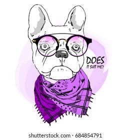 Vector dog with glasses and violet scarf. Hand drawn illustration of dressed dog
