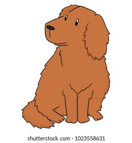 vector of dog, golden retriever