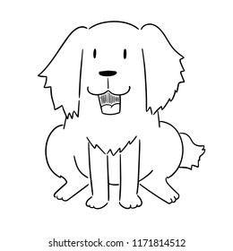 vector of dog, golden retriever