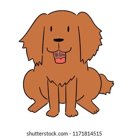 vector of dog, golden retriever