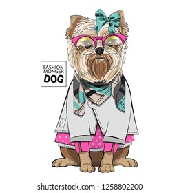 Vector dog with green bow, pink glasses, scarf, dress and blouse. Hand drawn illustration of dressed dog.