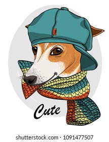 Vector dog with green cap and knitted scarf. Hand drawn illustration of dressed dog.