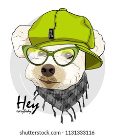 Vector dog with green glasses, green cap and checkered scarf. Hand drawn illustration of dressed dog.