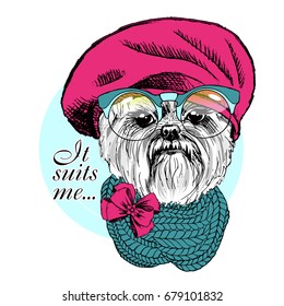 Vector dog with green glasses, knitted scarf and pink beret. Hand drawn illustration of dressed yorkshirterer 