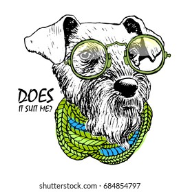 Vector dog with green glasses, and green knitted scarf. Hand drawn illustration of dressed dog