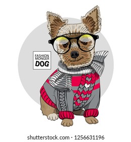 Vector dog with green hat, checkered scarf and knitted orange blouse. Hand drawn illustration of dressed dog.