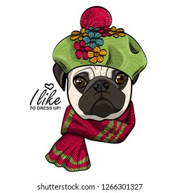 Vector dog with green hat and knitted red scarf. Hand drawn illustration of dressed pug.