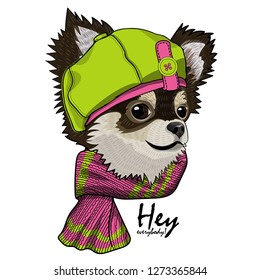 Perro vectorial con sombrero verde y bufanda de punto. Dibujo de mano de chihuahua vestido.