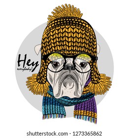 Vector dog with green hat, knitted scarf and glasses. Hand drawn illustration of dressed bulldog.