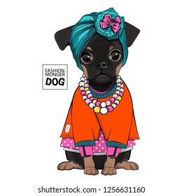 Vector dog with green hat, necklace and  orange blouse. Hand drawn illustration of dressed dog.